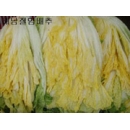 고랭지절임배추